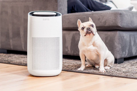 Best Air Purifiers for Your Home In India (2025): An Honest Guide